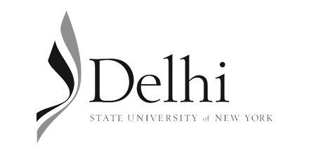 Delhi-State-University